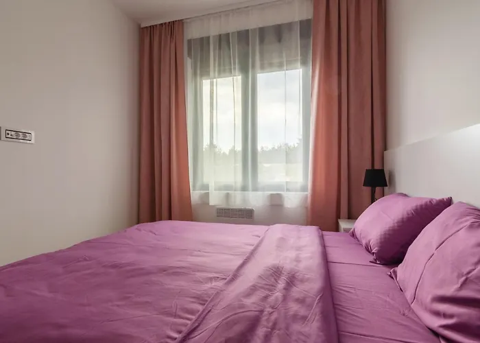 Daire Zlatiborske Zore