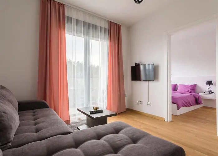 Daire Zlatiborske Zore *